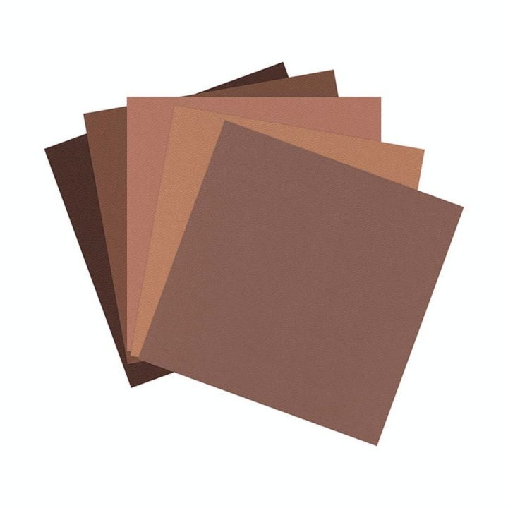 Cuir Synthétique 30,5 x 30,5 cm 5 feuilles - Clairefontaine - Rougier et Plé
