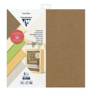 Papier Uni 210 g 30,5 x 30,5 cm 5 pcs - Clairefontaine - Rougier et Plé