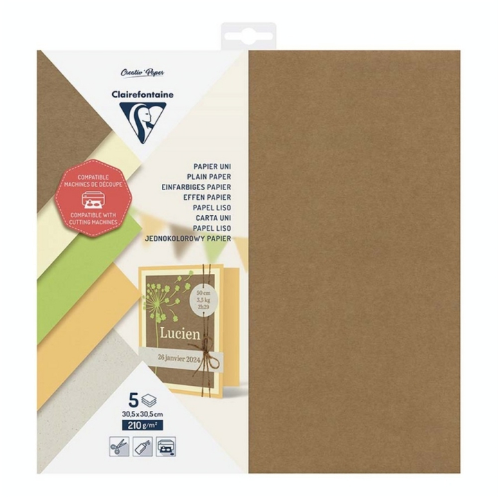 Papier Uni 210 g 30,5 x 30,5 cm 5 pcs - Clairefontaine - Rougier et Plé