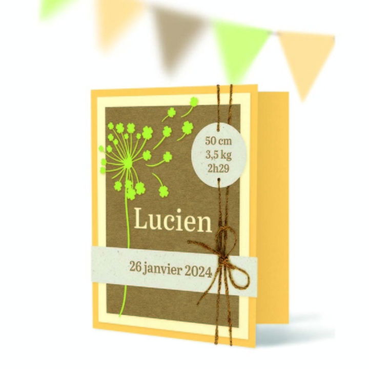 Papier Uni 210 g 30,5 x 30,5 cm 5 pcs - Clairefontaine - Rougier et Plé