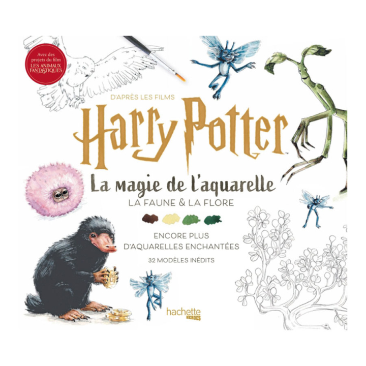 Livre La magie de l'aquarelle D'après les films Harry Potter Volume 2 - Hachette - Rougier et Plé