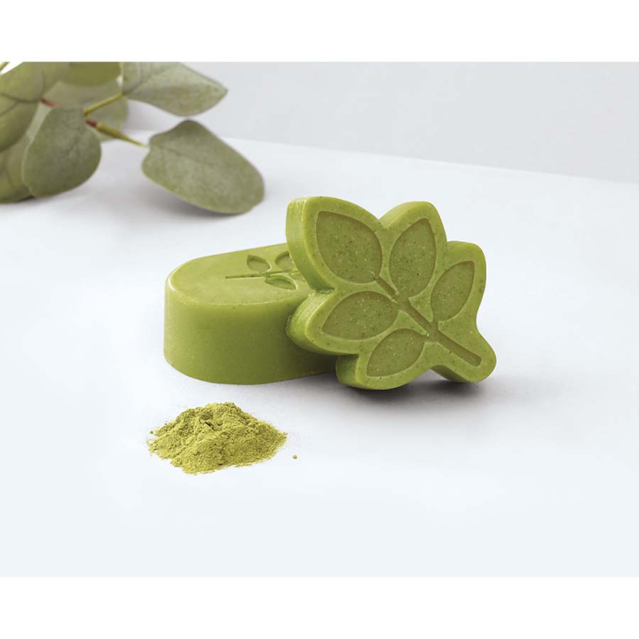 Kit DIY Savon à la feuille de Moringa - Graine Créative - Rougier et Plé