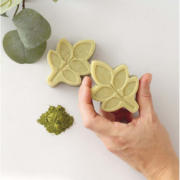 Kit DIY Savon à la feuille de Moringa - Graine Créative - Rougier et Plé