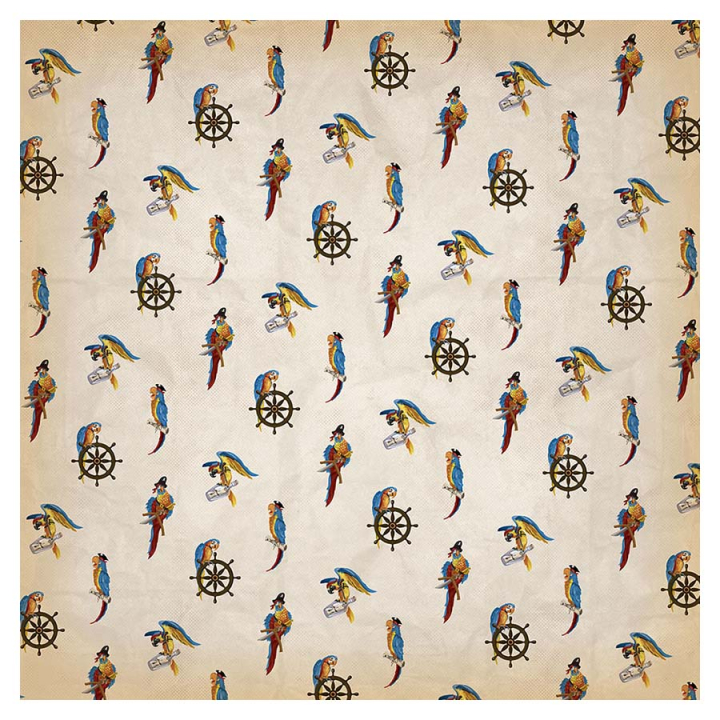 Papier imprimé 30,5 x 30,5 cm Pirates - Shiver Me Timbers - Echo Park - Rougier et Plé