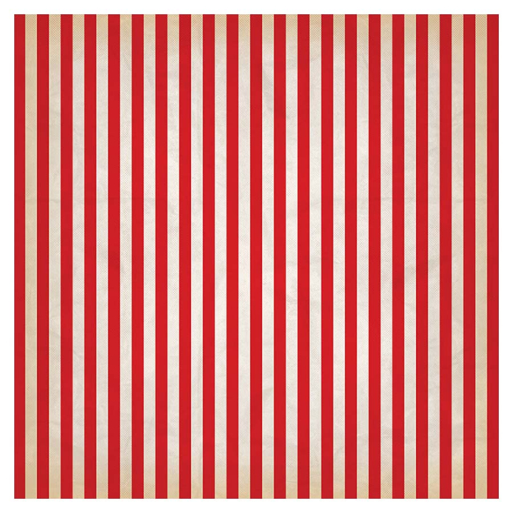 Papier imprimé 30,5 x 30,5 cm Pirates - Shiver Me Timbers - Echo Park - Rougier et Plé
