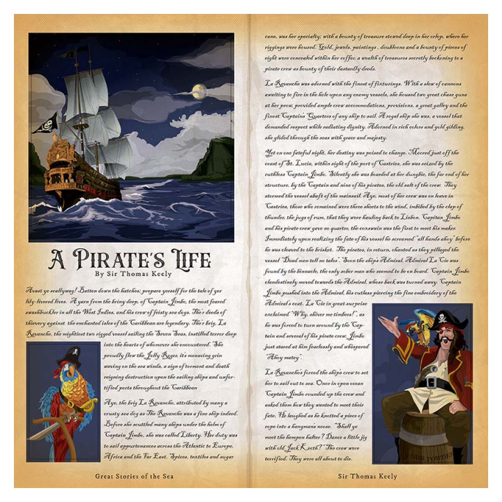 Papier imprimé 30,5 x 30,5 cm Pirates - Multi Journaling Cards - Echo Park - Rougier et Plé