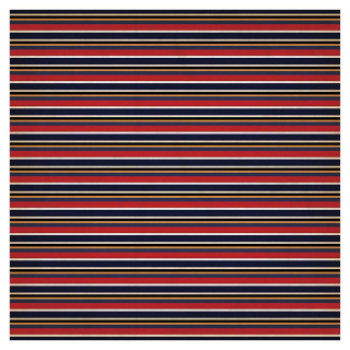Papier imprimé 30,5 x 30,5 cm Pirates - Scallywag Stripes - Echo Park - Rougier et Plé