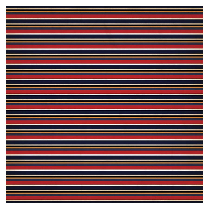 Papier imprimé 30,5 x 30,5 cm Pirates - Scallywag Stripes - Echo Park - Rougier et Plé