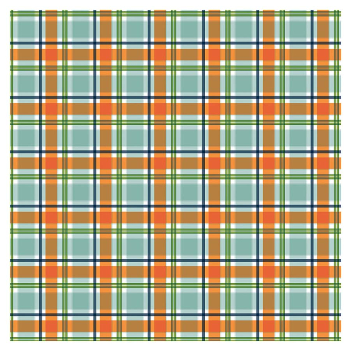 Papier imprimé 30,5 x 30,5 cm Dino-Mite - Plaid - Echo Park - Rougier et Plé