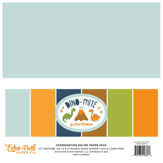 Set de papiers imprimés 30,5 x 30,5 cm Dino-Mite - Solids Kit 6 pcs - Echo Park - Rougier et Plé