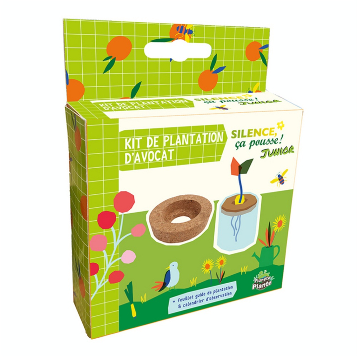 Kit de plantation d'avocat - MGM - Rougier et Plé