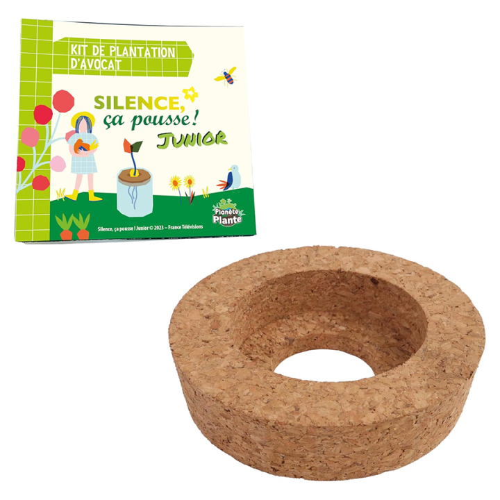 Kit de plantation d'avocat - MGM - Rougier et Plé