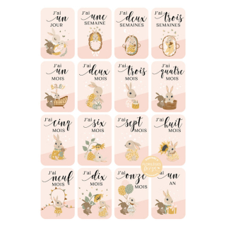 Embellissements en papier A petits pas - Cartes étape bébé Rose saumon 16 pcs - Florilèges Design - Rougier et Plé