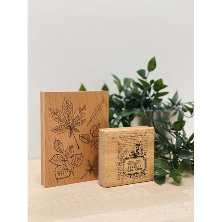 Tampon en bois Cinq Feuilles - Florilèges Design - Rougier et Plé