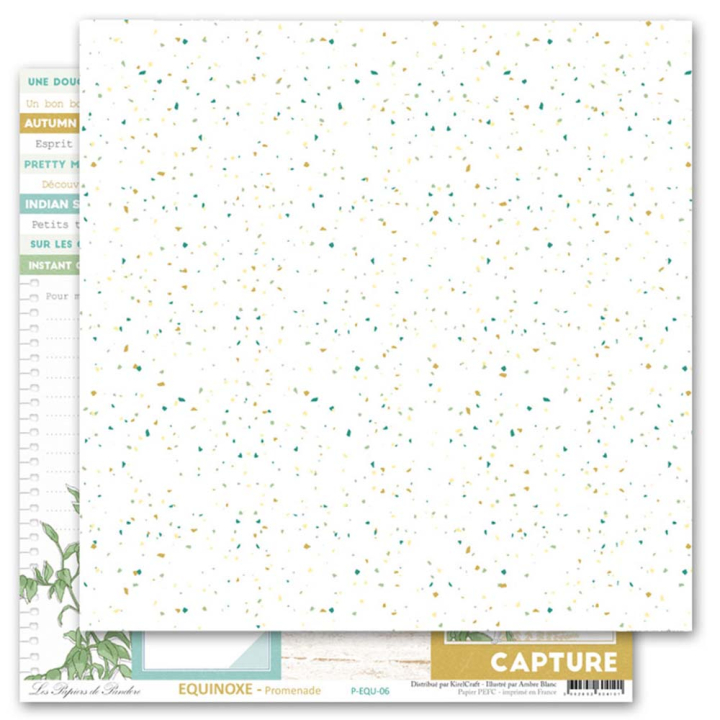 Papier imprimé 30,5 x 30,5 cm 170 g/m² Equinoxe - Promenade - Les Papiers de Pandore - Rougier et Plé