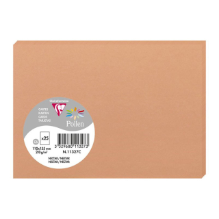 Carte faire-part 70 x 95 mm 210 g/m² 25 pcs - Clairefontaine - Rougier et Plé