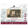 Bloc de papier dessin 35 x 45 cm 250 g/m² Grain fin Annigoni Beige - Magnani 1404 - Rougier et Plé