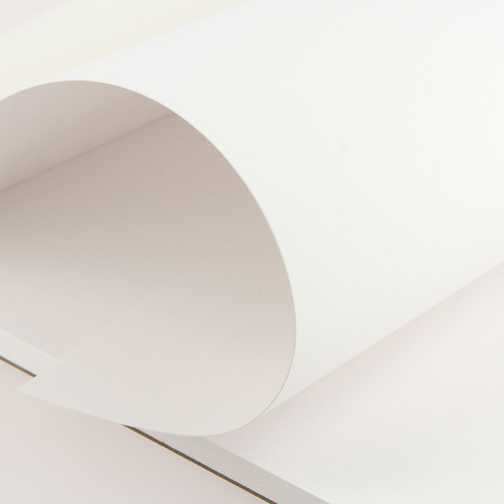 Bloc papier multi-techniques 250 g/m² 20 feuilles A4 - Rougier&Plé - Rougier et Plé