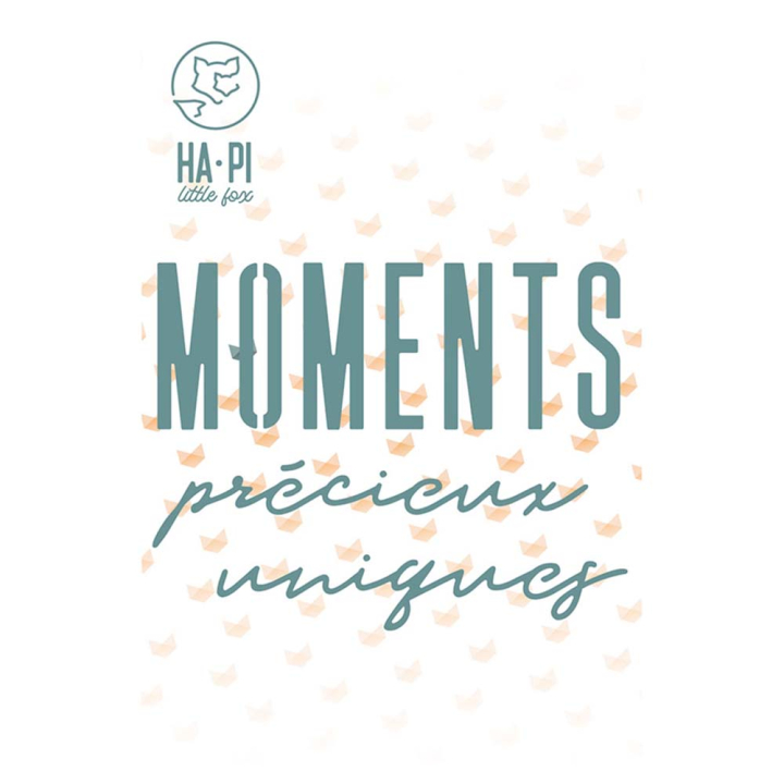 Matrices de découpe Dies Moments uniques 3 pcs - HA PI Little Fox - Rougier et Plé