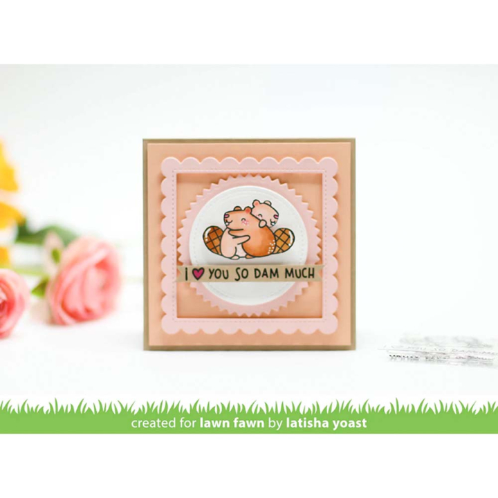 Tampons transparents So Much 5 pcs - Lawn Fawn - Rougier et Plé