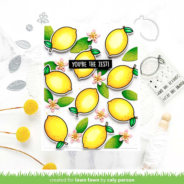 Tampons transparents You're the Zest 7 pcs - Lawn Fawn - Rougier et Plé