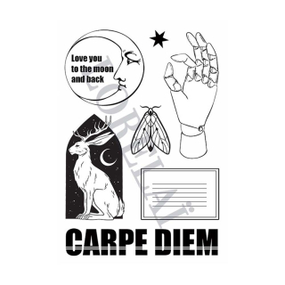 Tampons transparents Carpe Diem - To The Moon 7 pcs - Lorelai Design - Rougier et Plé