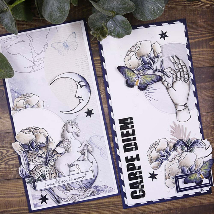 Tampons transparents Carpe Diem - To The Moon 7 pcs - Lorelai Design - Rougier et Plé