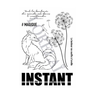 Tampons transparents Carpe Diem - Instant 6 pcs - Lorelai Design - Rougier et Plé