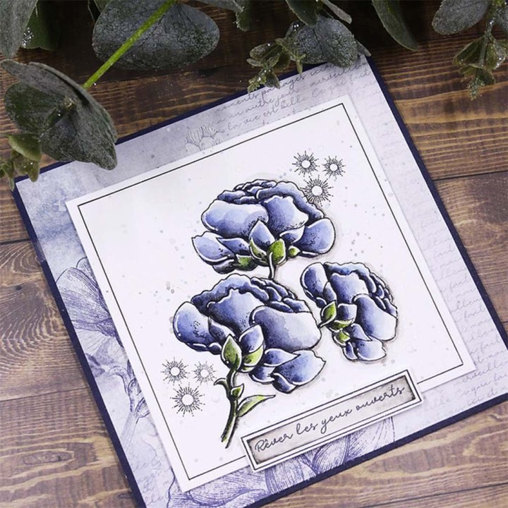 Tampons transparents Carpe Diem - Ce qui fait mon bonheur 8 pcs - Lorelai Design - Rougier et Plé