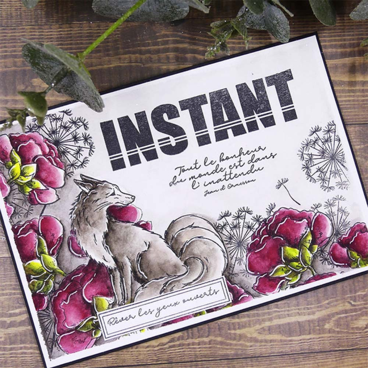 Tampons transparents Carpe Diem - Ce qui fait mon bonheur 8 pcs - Lorelai Design - Rougier et Plé