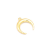 Pendentif Corne 22 x 24 mm...