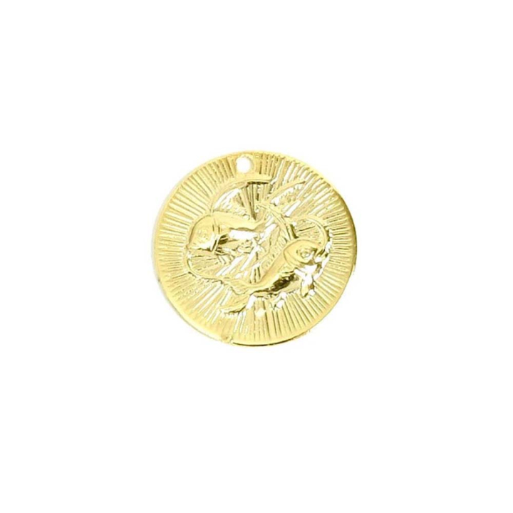 Pendentif Rond Signe astrologique ø 15 mm Poisson - Perles Corner - Rougier et Plé
