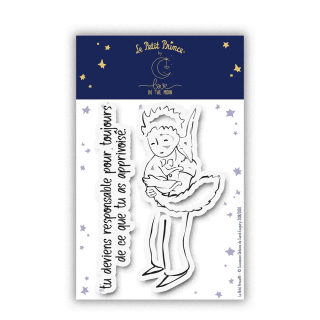 Tampons transparents Le Petit Prince® Apprivoiser et responsabilités - Love in the moon - Rougier et Plé