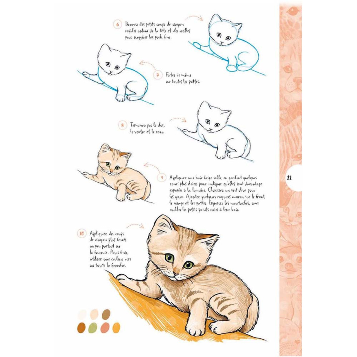 Livre 10 Étapes pour dessiner des animaux adorables - Éditions Vigot - Rougier et Plé
