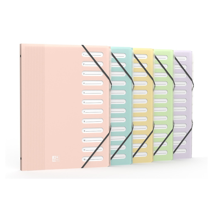 Trieur A4 12 positions School Life Pastel - Oxford - Rougier et Plé