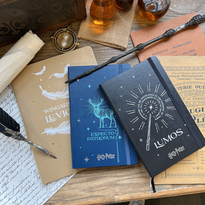 Carnet de notes 13 x 21 cm Ligné Harry Potter Expecto Patronum - Moleskine - Rougier et Plé