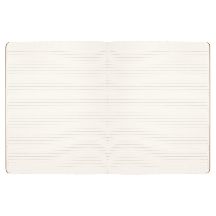 Cahier 19 x 25 cm Ligné Harry Potter Wingardium Leviosa - Moleskine - Rougier et Plé