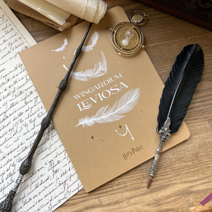 Cahier 19 x 25 cm Ligné Harry Potter Wingardium Leviosa - Moleskine - Rougier et Plé