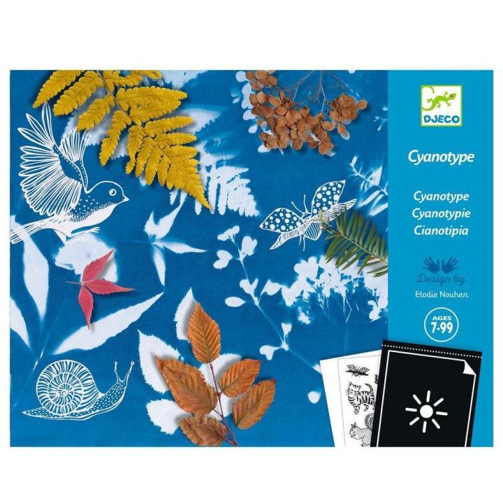 Kit Papier pour Cyanotype - Djeco - Rougier et Plé