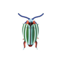 Décoration murale 3D Rainbow Leaf Beetle - Studio ROOF - Rougier et Plé