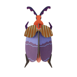 Décoration murale 3D Queen Beetle - Studio ROOF - Rougier et Plé