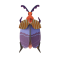Décoration murale 3D Queen Beetle - Studio ROOF - Rougier et Plé