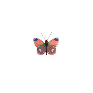Décoration murale 3D Delias Butterfly - Studio ROOF - Rougier et Plé