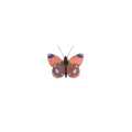 Décoration murale 3D Delias Butterfly - Studio ROOF - Rougier et Plé