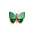 Décoration murale 3D Fern Striped Butterfly - Studio ROOF - Rougier et Plé