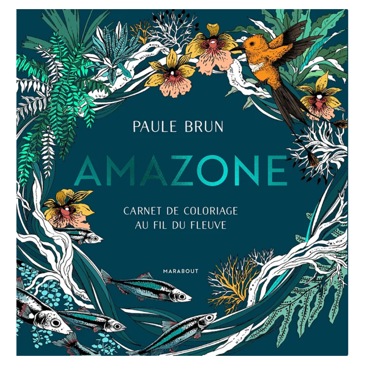 Carnet de coloriage Amazone - Marabout - Rougier et Plé