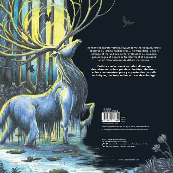 Carnet de coloriages Un univers de couleurs - Marabout - Rougier et Plé