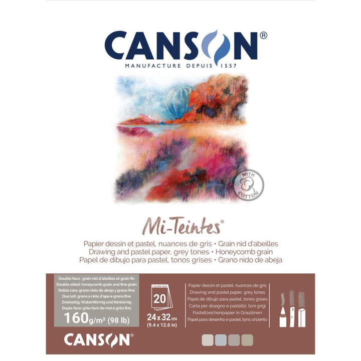 Bloc de papier Mi-Teintes 160 g/m² Nuances de gris - Canson - Rougier et Plé