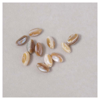 Perles en Nacre naturelle Ovales 8 x 5 mm Beige 10 pcs - Perles Corner - Rougier et Plé