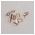 Perles en Nacre naturelle Ovales 8 x 5 mm Beige 10 pcs - Perles Corner - Rougier et Plé